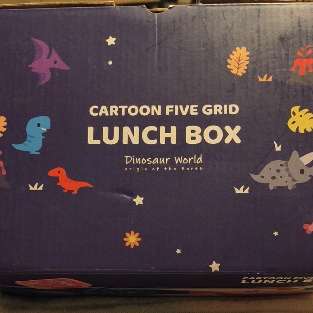 Lunch Box - Colorful With Dinosaur Print